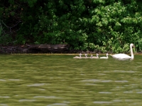 51419CrLeEx - Kayak outing with Beth on Duffins Creek.jpg